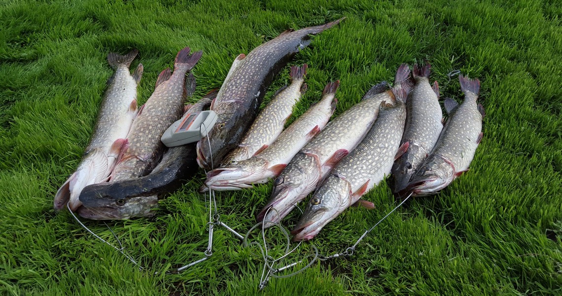 Рыбалка на Рыбинке — отличный отдых для всей семьи 4