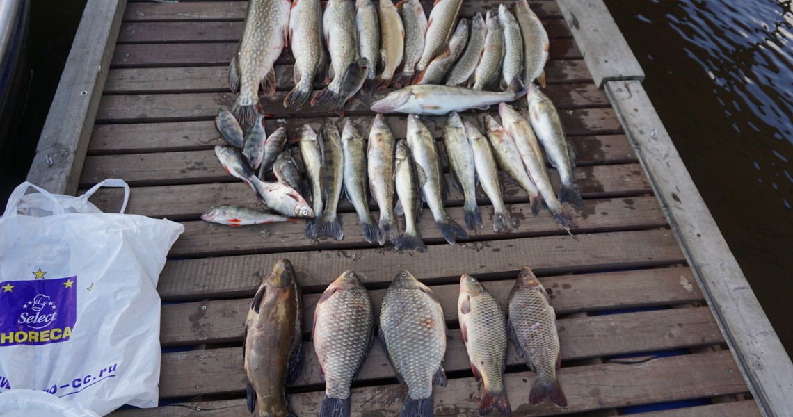 Рыбалка на Рыбинке — отличный отдых для всей семьи 6