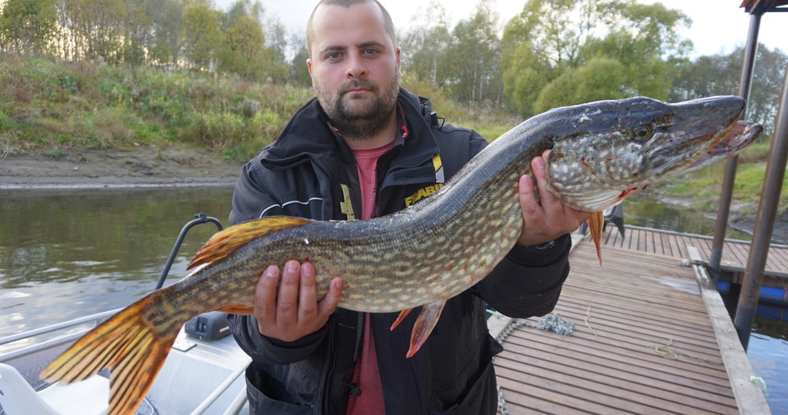 Группа браконьеров задержана на Рыбинском водохранилище